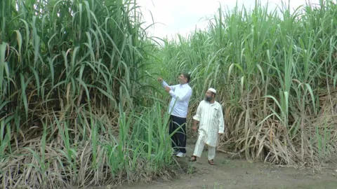 Field visit with sugarcane growers