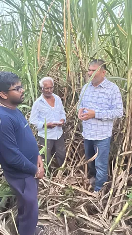 Field visit with sugarcane growers