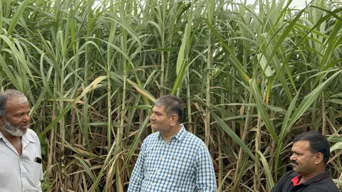 Field visit with sugarcane growers